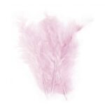 RAYHER FLUFFY FEATHER 10-15CM 15PCS PALE PINK