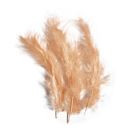 R8516880.jpg RAYHER FLUFFY FEATHER 10-15CM 15PCS APRICOT - Image 1