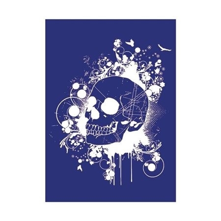 R4500300.jpg RAYHER SCREEN PRINT STENCIL A4 SKULL - Image 1