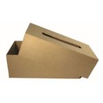 RAYHER PAPIER MACHE TISSUE BOX 23.5X12X8CM [WITH BASE]