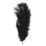 RAYHER OSTRICHS FEATHER 30CM 1PC BLACK