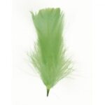 RAYHER DECORATIVE FEATHER 5-10CM 5G LIGHT GREEN