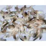 RAYHER FEATHER MIXTURE 7-9CM 10G PEPITA