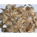 RAYHER FEATHER MIXTURE 4-6CM 10G PETIT-POINT