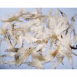 RAYHER FEATHER MIXTURE 6-15CM 10G COCKTAIL