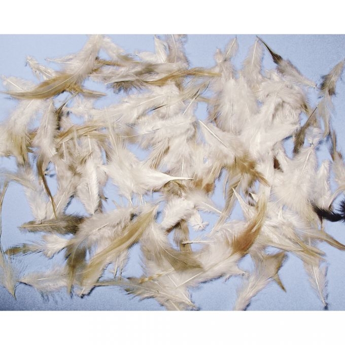 R8515700.jpg RAYHER FEATHER MIXTURE 6-15CM 10G COCKTAIL - Image 1