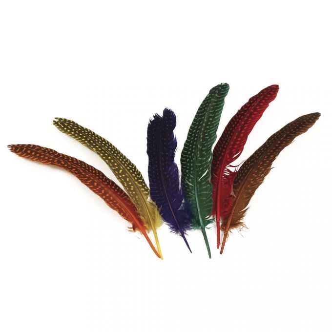 R8517949.jpg RAYHER FEATHER WITH SPOTS 17-22CM 12PCS MIXED - Image 1