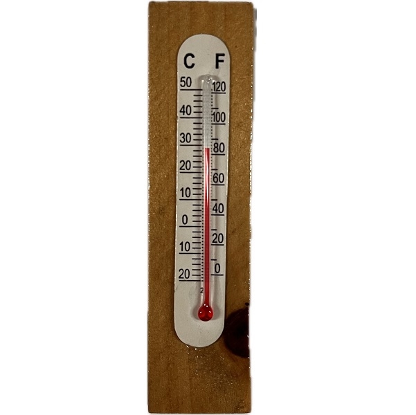 R8634700.jpg RAYHER THERMOMETER 20X80MM - Image 1