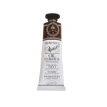 DALER ROWNEY ARTISTS OIL COLOUR 38ML [SERIES A] BURNT SIENNA