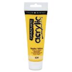 DALER ROWNEY GRADUATE ACRYLIC PAINT 120ML NAPLES YELLOW