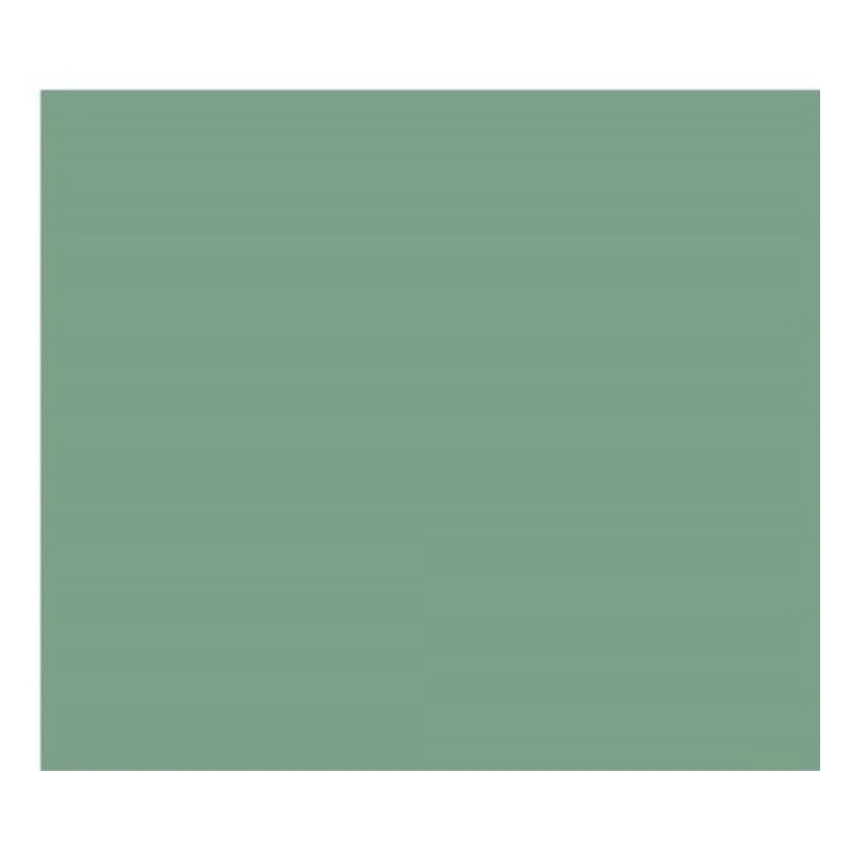 302001055.jpg DALER ROWNEY MOUNTBOARD A1 59.4X84.1CM 1.4MM SOFT GREEN - Image 1