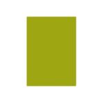 DALER ROWNEY MURANO PAPER A4 160G APPLE