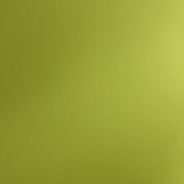 425065014.jpg MURANO PAPER 160G 65X50CM LIME - Image 1
