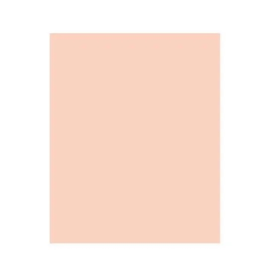 425065019.jpg DALER ROWNEY MURANO PAPER 50X65CM 160G PALE PEACH - Image 1