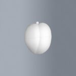 STYROFOAM APRICOT 5.5X6.5CM