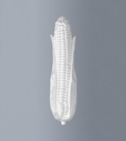 STYROFOAM CORN 5X22CM