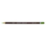 DERWENT COLOURSOFT PENCIL LIGHT GREEN C440