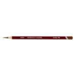 DERWENT PASTEL PENCIL RAW UMBER P560