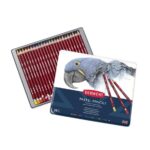 DERWENT PASTEL PENCIL [24] TIN