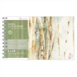 HAHNEMÜHLE BAMBOO MIXED MEDIA PAPER [PAD] 15.3X25CM 265G 15SH