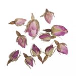 RAYHER BLOSSOMS ROSEBUDS ENTIRELY PINK 7G