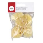 RAYHER NATURAL SPONGE SET 5PCS D.3.5-5CM [FINE PORED]