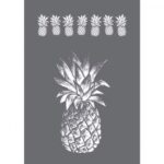 RAYHER SCREEN PRINT STENCIL A4 PINEAPPLE