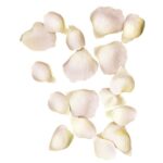 RAYHER ROSE PETALS 3-4.5CM 41PCS PALE PINK