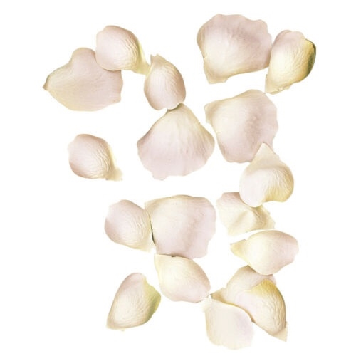 R5118316.jpg RAYHER ROSE PETALS 3-4.5CM 41PCS PALE PINK - Image 1