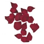 RAYHER ROSE PETALS 3-4.5CM 41PCS WINE RED