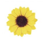 RAYHER SUNFLOWER HEADS 3.5CM 12PCS