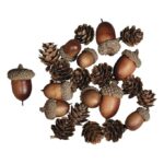 RAYHER ACORN CONE MIX 2-4CM 27PCS