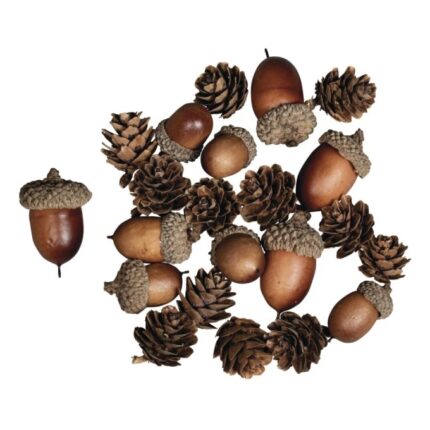 RAYHER ACORN CONE MIX 2-4CM 27PCS