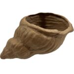 RAYHER PAPIER MACHE 15X9.5X6CM SEA-SNAIL SHELL