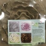 RAYHER PAPIER MACHE RELIEF 3D PICTURE 20X20X3.5M WILD ROSE