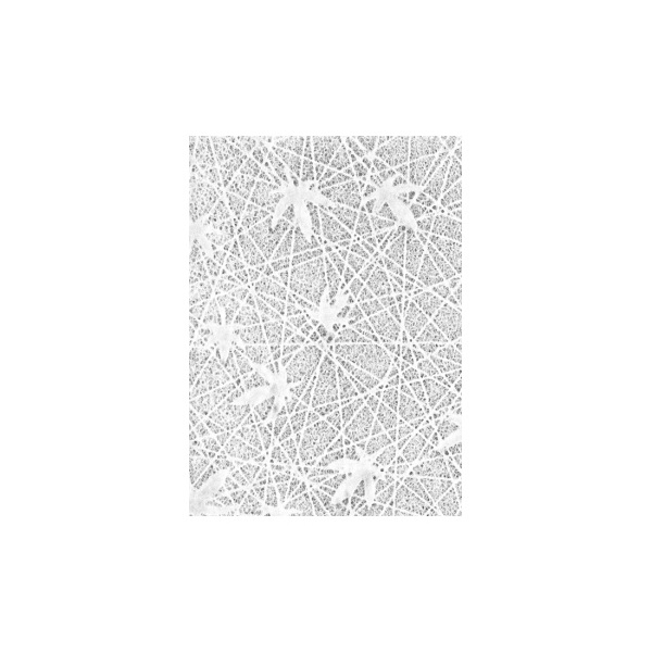 R8141202.jpg RAYHER LACE RICE PAPER 48.5X66.7CM LEAF WHITE - Image 1