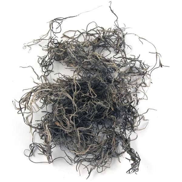 R8501031.jpg RAYHER JUNGLE MOSS 20G NATURAL - Image 1