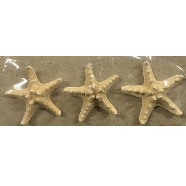 R8501200.jpg RAYHER STARFISH 8.5CM 3PCS - Image 1