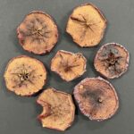 RAYHER DRIED APPLE SLICES 25G
