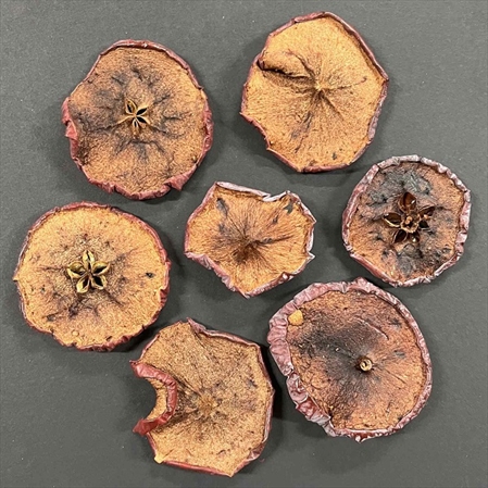R8504300.jpg RAYHER DRIED APPLE SLICES 25G - Image 1