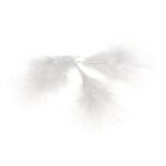 RAYHER DECORATIVE FEATHERS 8CM 10PCS WHITE