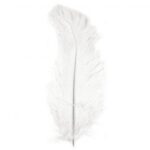 RAYHER OSTRICHS FEATHER 30CM 1PC WHITE