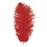 RAYHER OSTRICHS FEATHER 30CM 1PC RED