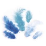 RAYHER COMBINATION OF FEATHERS 3-10CM 10G BLUE COLOURS