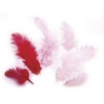 RAYHER COMBINATION OF FEATHERS 3-10CM 10G RED COLOURS