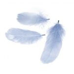 RAYHER DECORATIVE FEATHER 5-10CM 5G LIGHT BLUE