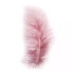 RAYHER FLUFFY FEATHER 10-15CM 15PCS ANTIQUE ROSE