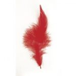 RAYHER TRENDY FEATHER 10-15CM 2G RED