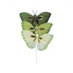 RAYHER BUTTERFLY OF FEATHERS 2-4CM 6PCS GREEN COLOURS