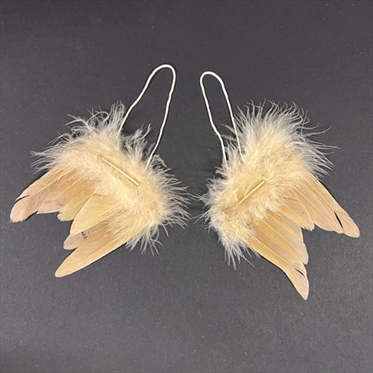 R8522706.jpg RAYHER ANGELS FEATHER WINGS 5CM 2PCS GOLD - Image 1